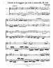 Duetto in fa maggiore, BI. 326 for Viola and Cello