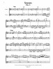 Serenata for 2 violas (Fourteen 18th Century Italian Duets)