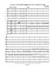Concerto in mi bemolle maggiore, BI. 544 Viola e Orchestra (score/parts)