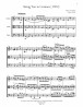 String Trio in G minor (1900) (for violin, viola, and cello)