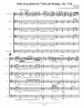 Suite in g minor, Op. 131d (1915) Viola and Strings (score/parts)