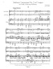 Sinfonie Concertante No. 2 in D major for Violin, Viola, and Orchestra (violin, viola, and piano reduction)